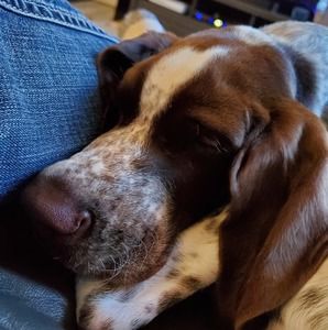 Meet your Posher, Tony